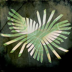Jungle - grün gefächert