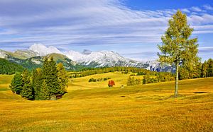 Die Seiser Alm im Herbst