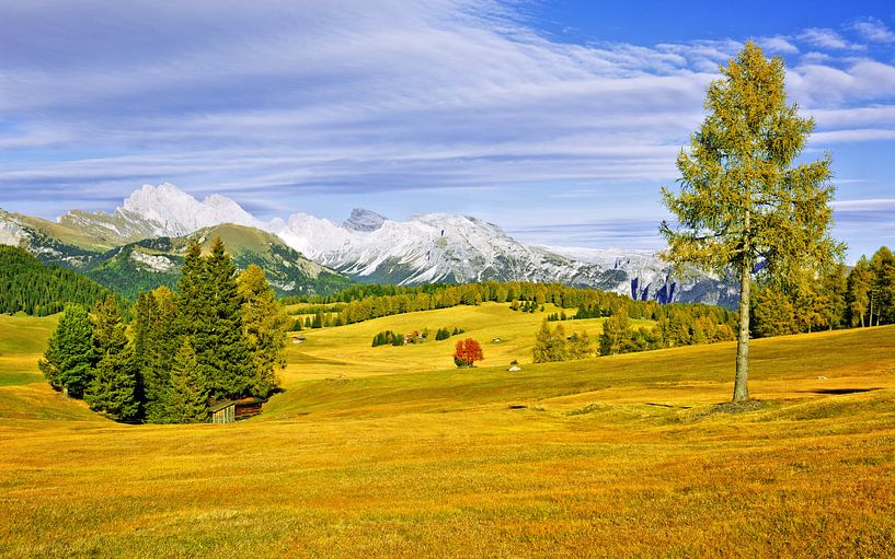 The Alpe di Siusi in Autumn by Gisela Scheffbuch