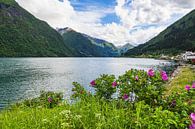 Uitzicht over de Fjærlandfsjord in Noorwegen van Rico Ködder thumbnail