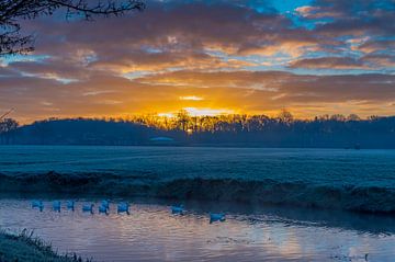 zonsopgang in de winter sur eric brouwer