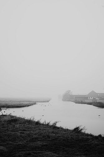 Zaanse landschap bij mist 2