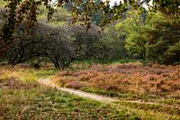 Veluwe