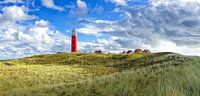 Panorama Vuurtoren van Texel / Panoramic Texel Lighthouse van Justin Sinner Pictures ( Fotograaf op Texel) thumbnail