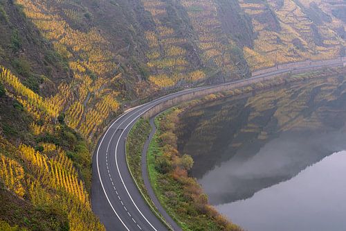 Yellow Wineyards