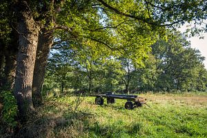Wagen auf einer Wiese bei Anloo