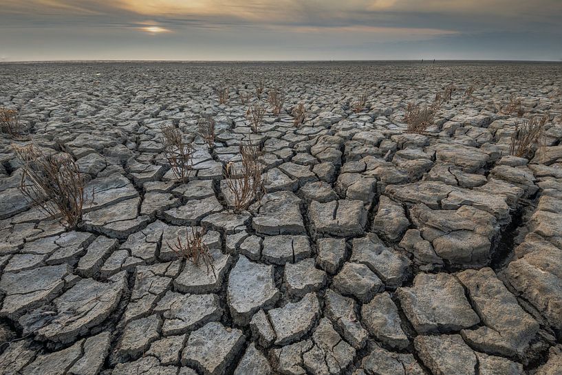 Reißen auf dem Wattenmeer von Andy Luberti