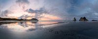 Wharariki Beach van Maarten Mensink thumbnail