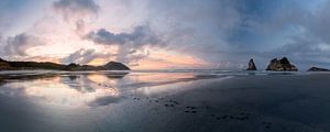 Wharariki Beach van Maarten Mensink