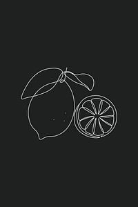 Zitronen Line Art