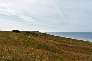 Die schwedische Landschaft