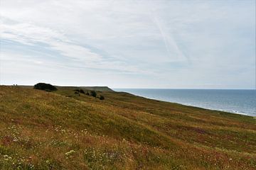 The Swedish landscape by Naomi Elshoff