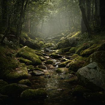 Langzaam Water onder Groen Licht