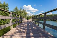 Lange Holzbrücke über Wasser im Naturgebiet von Ben Schonewille Miniaturansicht