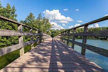 Lange houten brug over water in park van Ben Schonewille