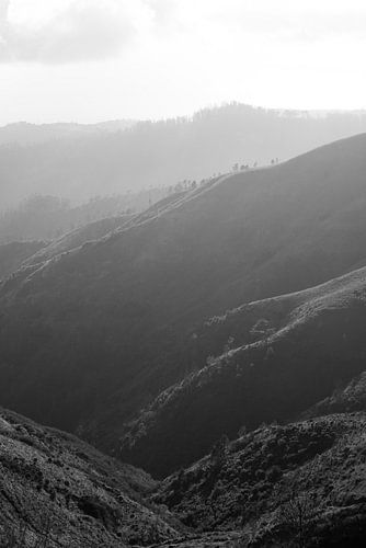black and white photo mountains in madeira.