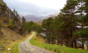 Glen Strathfarrar Schottland