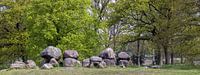 Panorama dolmen D15 Loon