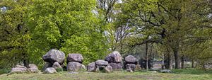Panorama dolmen D15 Loon