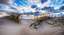 Hollands strand serie 2026 - 8 van Alex Hiemstra