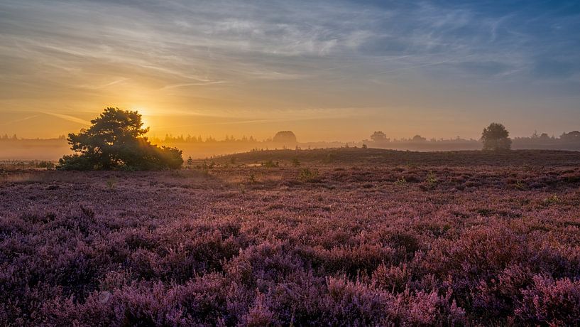 Renderklippen Epe by Gerrit de Groot