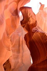 Lots of awesomeness by Frank's Awesome Travels