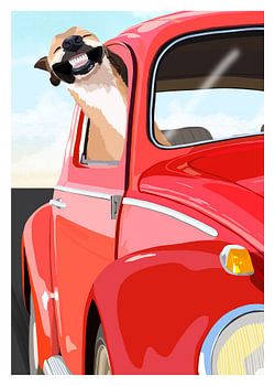 Smiling Dog Drive
