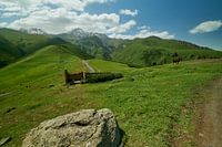 De berg Kazbek of de berg Kazbegi in Stepantsminda, Georgië, bij daglicht