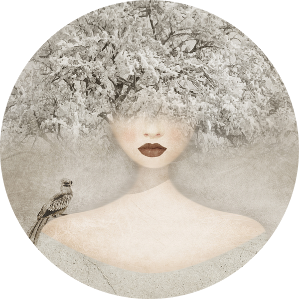 December van Mirjam Duizendstra