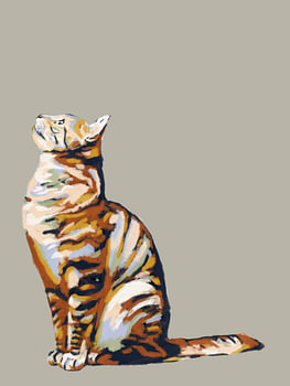 Bunte Katze