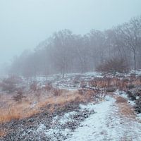 Naturschutzgebiet Posbank