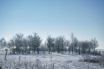 Winterlandschap. Vorst en sneeuw van Martin Köbsch