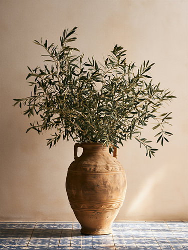 Olivenzweige in einer Vase
