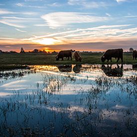 Schotse morgen van Ferdinand Mul