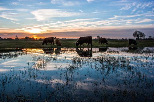 Matin écossais sur Ferdinand Mul