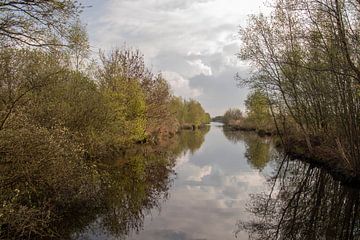 Deelen friesland by anne droogsma