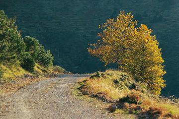 Ein Hauch vom Herbst von Harry Cathunter