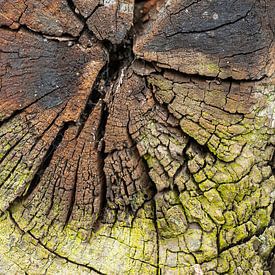 Bois vieilli sur Ron Poot