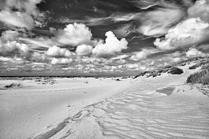 La côte néerlandaise avec ses dunes et sa plage sur eric van der eijk