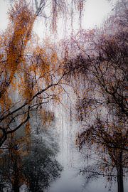 Whispers in Autumn Mist van Gertinez Gallery