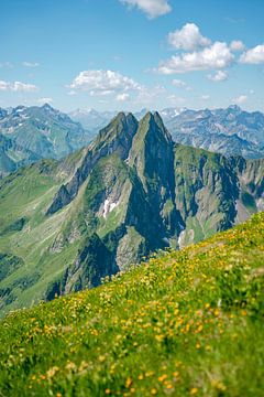 Höfats Ostseite mit den Allgäuer Hochalpen im Hintergrund von Leo Schindzielorz