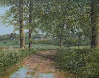 Forest path