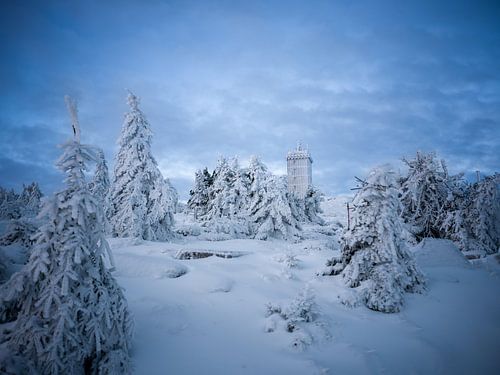 Winterbos en weerstation op de Brocken-top