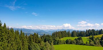 Berglandschap in de Vorarlberg Alpen in Oostenrijk tijdens de zomer