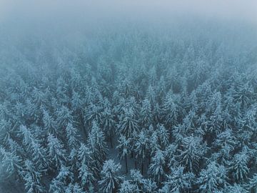 Dreamworld by Richard Driessen