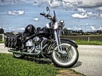 Harley Davidson Heritage Springer FLSTS Holland Sky