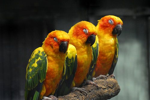 The 3 tired ones from the bar