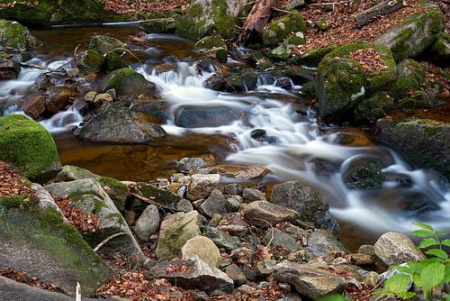 De rivier de Ilse in het Harz Nationaal Park