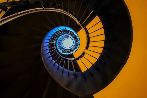 Mango-Schneckenhaus von Bram de Jong