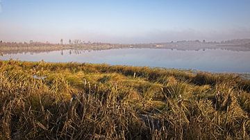 Ven in Groote Peel National Park von Rob Boon